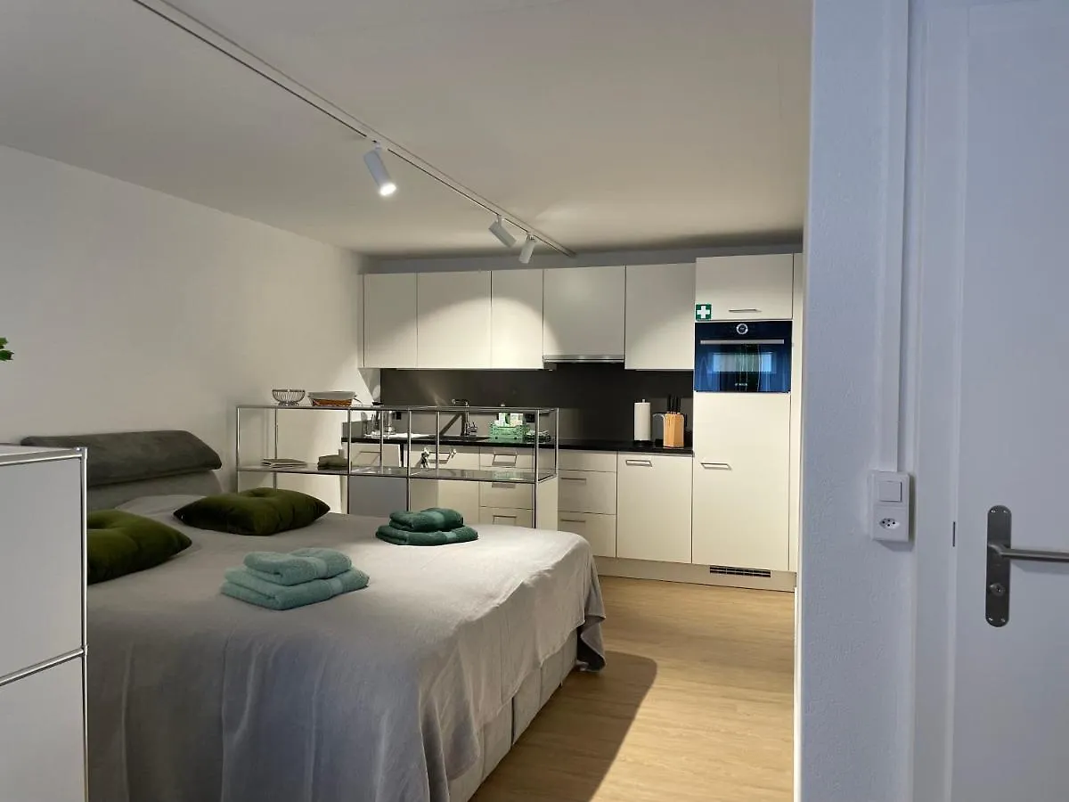 Apartamento Studio Gocki Zúrich Suiza